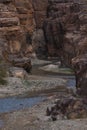 Entrance to the Wadi Mujib canyon in Jordan. Steep rocks and a rapid flowing river carved. Difficult crossing and attraction for