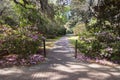 Garden Trail at Charles Towne Landing in Charleston SC Royalty Free Stock Photo