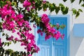 Entrance of a traditional greek house with blue window and blooming bougainvillea plant