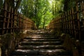 An entrance way to Japanese garden, Kyoto Royalty Free Stock Photo