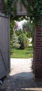 Entrance through a wooden door to a bright spruce meadow