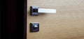 Entrance wooden doors and handle. Door knob. Royalty Free Stock Photo