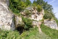 Entrances to caves surrounded by wild vegetation in rock formation