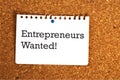 Entrepreneurs wanted