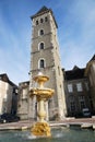 The entry of the Castel of Pau in France