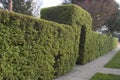 Entry Hedge Royalty Free Stock Photo