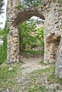 entry to an old castle ruin in the forest Royalty Free Stock Photo