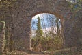 entry to an old castle ruin in the woods