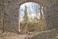 entry to an old castle ruin in the woods