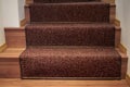 Carpeted Wood stairs.