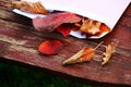 Envelope autumn leafs wooden table