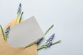 Envelope with beautiful spring muscari flowers and card on light background, flat lay Royalty Free Stock Photo