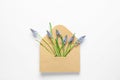 Envelope with beautiful spring muscari flowers on light background Royalty Free Stock Photo