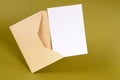 Manila brown envelope with blank letter or note card, copy space Royalty Free Stock Photo