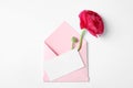 Envelope with card and beautiful ranunculus flower on white background, top view. Royalty Free Stock Photo