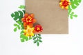 envelope with floral of paper ornament. Apartment, top view.