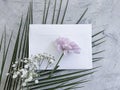 Envelope, flower on a concrete background spring