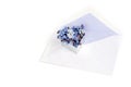 Envelope with forget-me-not flowers in a heart shape, love lett Royalty Free Stock Photo