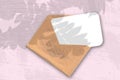 An envelope with sheet of textured white paper on the pink background of the table. Mockup overlay with the plant