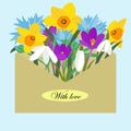 Envelope with spring flowers. Flowers daffodils, snowdrops, cornflowers, crocs in a mail envelope. Postcard for Royalty Free Stock Photo