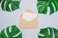 Envelope with white card and green leaves on blue background Royalty Free Stock Photo