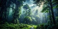 Enveloping Mist and Drizzle A Captivating Exploration of a Dark Forest During a Rainstorm Unveiling a Mystical Royalty Free Stock Photo