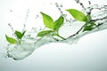 Environment background summer plant water rain freshness green fresh drop leaf liquid nature