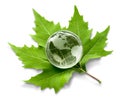 Environment concept, glass globe and green leaf Royalty Free Stock Photo