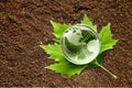 Environment concept, glass globe and green leaf Royalty Free Stock Photo