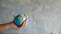 Environment Concept. Green Planet in Your Hands. Royalty Free Stock Photo