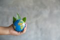 Green Planet in Your Hands. Save Earth Royalty Free Stock Photo