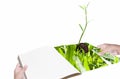 Environment concept hand with book and new life plant Royalty Free Stock Photo