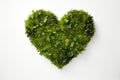 Environment Concept Shot Looking Down On Heart Shape Made From Green Plants And Trees On White Background