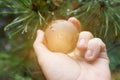 World earth day. Hands are holding a glass planet.