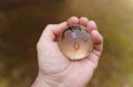 World earth day. Hands are holding a glass planet. Royalty Free Stock Photo
