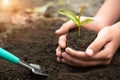 Environment Day, seedlings in hand, the idea of planting trees to reduce global warming Trees that grow from fertile soil Forest Royalty Free Stock Photo