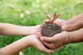 Environment Earth Day, Hands of elderly woman and Teenage girlholding a young plant against a green natural background in spring. Royalty Free Stock Photo