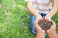 Environment Earth Day, Hands of old women and young women holding tree on nature field grass, Forest conservation, Ecological Royalty Free Stock Photo