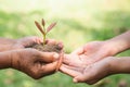 Environment Earth Day, Hands of old women and young women holding tree on nature field grass, Forest conservation, Ecological Royalty Free Stock Photo