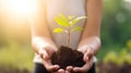 Environment Earth Day In the hands of trees growing seedlings. Bokeh green Background Female hand holding tree generative ai