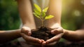 Environment Earth Day In the hands of trees growing seedlings. Bokeh green Background Female hand holding tree generative ai