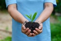 Environment Earth Day In the hands of trees growing seedlings. Bokeh green Background Female hand holding tree on nature field gra Royalty Free Stock Photo