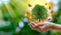 Environment Earth Day In the hands of trees growing seedlings. Bokeh green Background Female hand holding tree on nature field Royalty Free Stock Photo