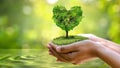 Environment Earth Day In the hands of trees growing seedlings. Bokeh green Background Female hand holding tree on nature field Royalty Free Stock Photo