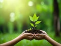 Environment Earth Day In the hands of trees growing seedlings. Female hand holding tree.