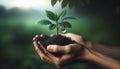 Environment Earth Day In the hands of trees growing seedlings. Bokeh green Background Female hand holding tree on nature field gra Royalty Free Stock Photo