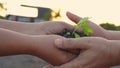 Environment Earth Day, the woman`s hand is submitting a small tree for planting, Forest conservation concept.