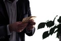 Environment or eco business and finance. Invest to sustainable and green energy. Man in a suit counting money. Plant with leafs. Royalty Free Stock Photo