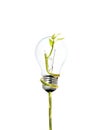 Environment friendly bulb