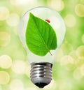 Environment friendly bulb Royalty Free Stock Photo